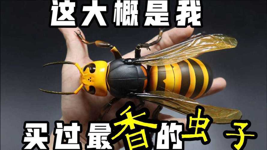大雀蜂vs日本大锹蜂谁厉害