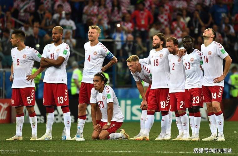 丹麦vs突尼斯最后谁赢了的相关图片