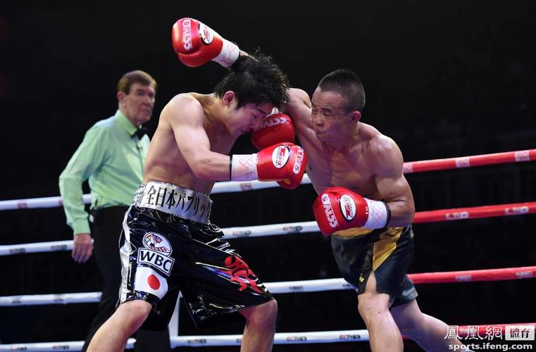 藏族拳王vs日本拳手的相关图片